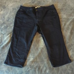 Dark Wash Denim Capri Cato 18W